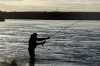 El Gobierno lanzó nueva página web para tramitar el permiso de pesca deportiva