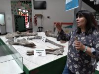 El Museo “Padre Manuel Jesús Molina” y Patrimonio Cultural participan de la Feria Provincial de Ciencias