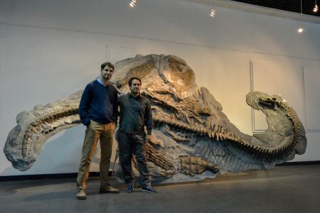 Un descubrimiento revelador para la paleontología sudamericana