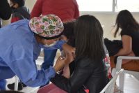 García: “Las jornadas intensivas de vacunación logran un efecto importante en el manejo de la pandemia”